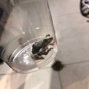 Meet your Posher, Jaxon